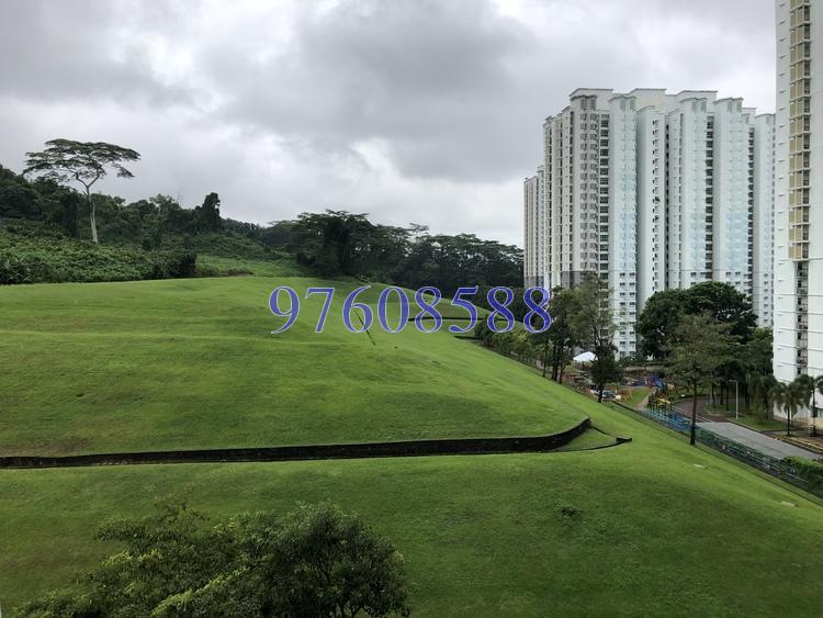Blk 392 Bukit Batok West Avenue 5 (Bukit Batok), HDB 5 Rooms #163649162